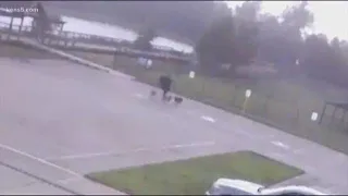 Video captures moment man was struck by lightning while walking dogs