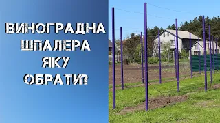 Виноградна шпалера  Яку обрати