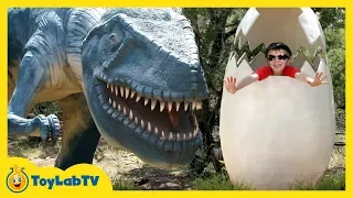 Giant Life Size Dinosaurs at Family Trip to Dinosaur World Park