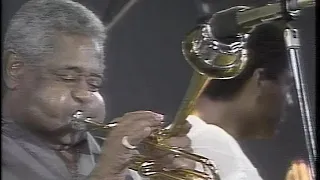 Newport Jazz Festival in Madarao 斑尾 / Dizzy Gillespie / ALLEN'S ALLEY