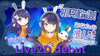 【新人Vtuber】Live2dお披露目会♡*｡ﾟ【初見歓迎】