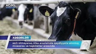 Quşçuluq təsərrüfatlarının inkişafına elmi dəstək göstəriləcək.  - Xəbərlər | Agro TV Azerbaijan
