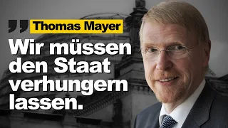 DARUM wird der Euro wohl NICHT überleben und so retten wir jetzt unseren Wohlstand // Thomas Mayer