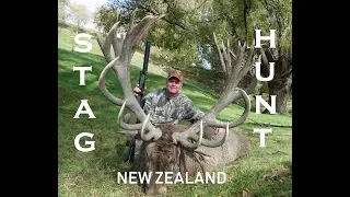 FALLOW BUCK AND RED STAG HUNTING NEW ZEALAND.