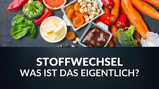 Eingeschlafener Stoffwechsel? Wann ist der Stoffwechsel gut oder schlecht?