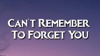 Shakira - Can't Remember To Forget You (Lyrics) (Tiktok) | I’d give my last time to hold him tonight