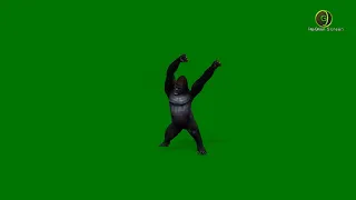 Gorilla Dancing Green Screen HD v2