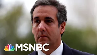 'It’s Weird': Trump Asks To Personally Review Cohen Evidence | The Beat With Ari Melber | MSNBC