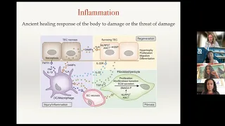 Inflamed: Decolonizing Medicine for Better Health Outcomes