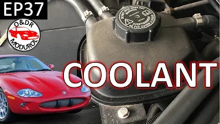 Coolant refill / top up EP37 Jaguar XK8 / XKR (X100)