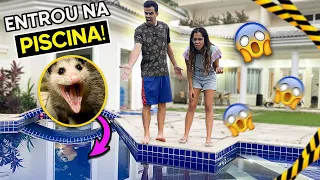 UM ANIMAL GIGANTE INVADIU A PISCINA E NÃO QUER IR EMBORA! + DIA DOS IRMÃOS