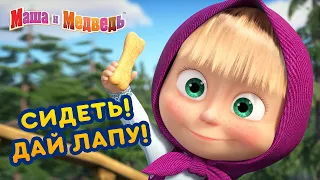 Маша и Медведь 👱‍♀️🐶 Сидеть! Дай лапу! 🦴 Коллекция серий про Машу 🎬