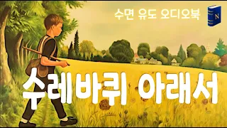 20분 내에 잠😴드는 고요한 낭독 [수레바퀴☸️ 아래서]