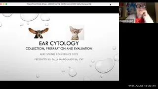 Veterinary Ear Cytology Review – Sample collection, preparation and microscopic findings