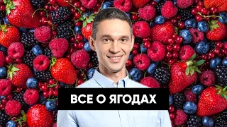 ВСЕ О ЯГОДАХ