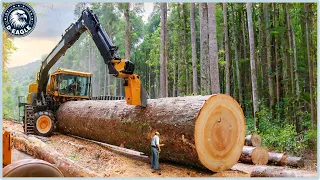 199 Incredible Fastest Big Chainsaw Cutting Tree Machines