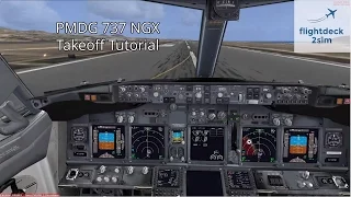 How do you Takeoff a Boeing 737? | Real 737 Pilot Tutorial | PMDG 737