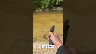 Heritage Roughrider .22 Short Power Test