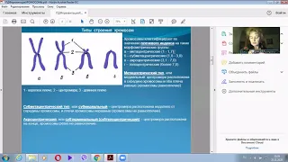 Хромосомные индексы: вычисление, суть классификации хромосом