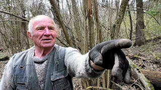 ОБНАРУЖИЛ В ЛЕСУ И НЕ СРАЗУ ПОНЯЛ, ЧТО ЭТО ЗА МОНЕТА!