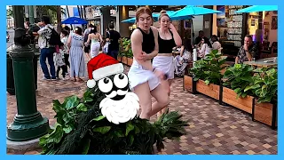 Bushman - "Last Christmas, I Gave You MY SCARE"! 🎁🎄🤣  𝐖𝐢𝐧𝐭𝐞𝐫 𝟐𝟎𝟐𝟐