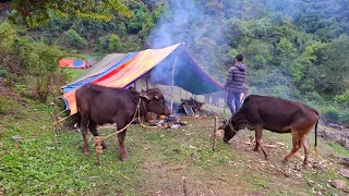 Nepali Mountain Village Life | Nepal| Organic Shepherd Food | Very Relaxing Mountain Village Life |