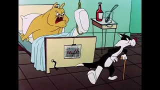 Sylvester - Ah Shut Up
