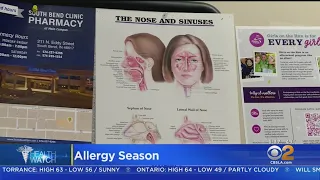 Tips for dealing with allergy season