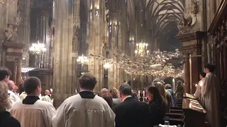 Osternacht im Stephansdom 2019