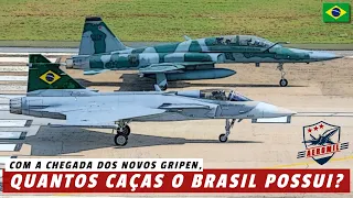 Quantos jatos de combate o Brasil possui agora? (Após a chegada recente de mais 2 GRIPEN)