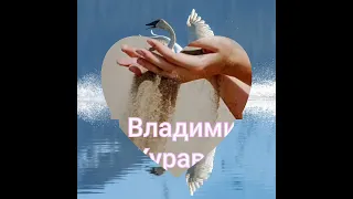 Сольный  Альбом  Владимир Журавель.