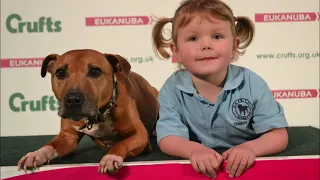 Isabella at Crufts with the East Anglian Staffordshire Bull Terrier Display Team