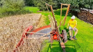 Historické Žně | od zrna k zrnu | mlátička | hrsťovka | žebřiňák