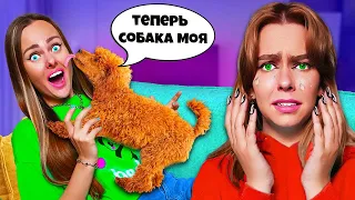 СОБАКА ВСТРЕТИЛА ХОЗЯЙКУ ПОСЛЕ МЕСЯЦА РАЗЛУКИ *Трогательно*