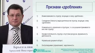 Фрагмент вебинара А.В. Брызгалина «Дробление бизнеса»