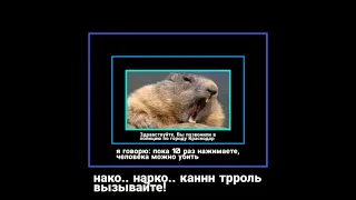 Мужчина в образе бобра🐹😂👽