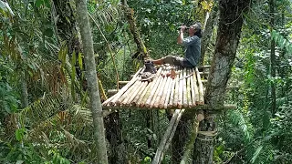 Heavy Rain in Sulawesi Rain Forest, Build Comfortable Shelters in the Trees, Bushcraft Camp