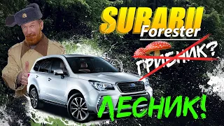 Обзор Subaru Forester SJ5 🌳Грибник🍄 SUV для города или для леса🤷🏻‍♂️