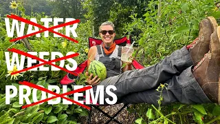 Lazy Gardening Works! | FULL Summer Garden Tour 2023!