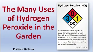 The Many Uses of Hydrogen Peroxide in the Garden