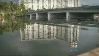 Predictions Put Some Of South Florida Under Water by 2025