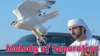 Fazza's Poem 👉 Melody of Separation |Poem by Fazza || Sheikh Hamdan #Faz3  #Faaz #فزاع