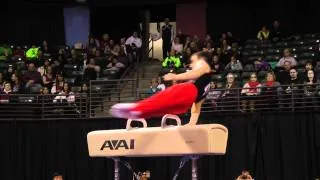 Zachary Clay - Pommel Horse Finals - 2012 Kellogg's Pacific Rim Championships