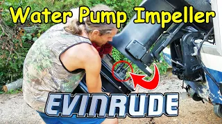 How To Change An Evinrude Outboard Water Pump Impeller