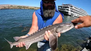 Bugs sturgeon fishing Columbia River