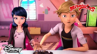 ❤ Marinette érzelmei Adrien iránt | Miraculous | Disney Csatorna