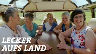 Der Sommerrückblick | Sommerreise - Staffel 6 | SWR Lecker aufs Land