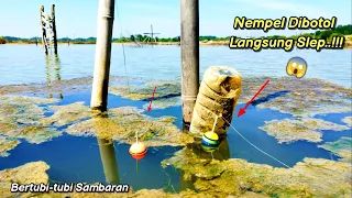 ⛔Benar Duggaanku..‼️ Batok Bambu Tambak Jadi Sarang Ikan Predator| Mancing kakap putih