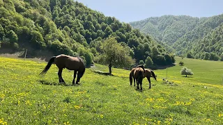 Qutab eski köy yemeği gözleme pişirdim