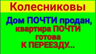 Колесниковы. Обзор влогов. Нет света. 08 08 2023 Колесниковы